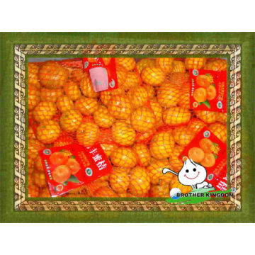 Frische Baby orange Baby Mandarin Orange